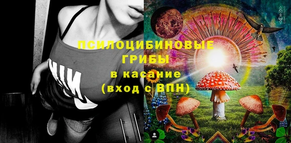 ПСИЛОЦИБИНОВЫЕ ГРИБЫ Алексеевка