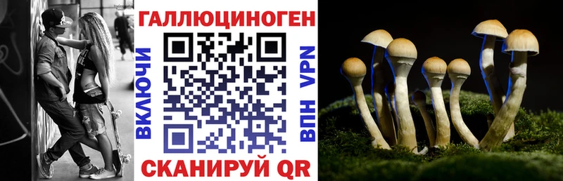 Галлюциногенные грибы GOLDEN TEACHER закладки Сольвычегодск