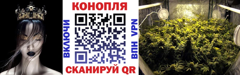 даркнет сайт  Сольвычегодск  Бошки марихуана индика 